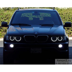 Светодиодные LED маркеры в Ангельские глазки BMW E53 X5 - 40 Ватт